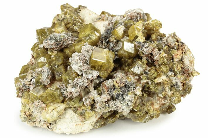 Yellow Andradite-Grossular Garnet Cluster with Clinochlore - Mali #242500